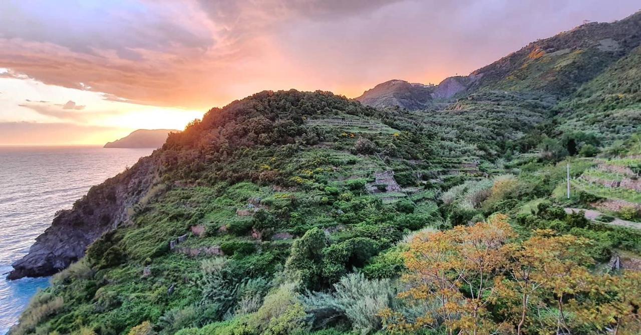 فندق Arbanella كورنيجليا المظهر الخارجي الصورة